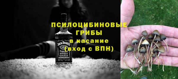 скорость Туринск