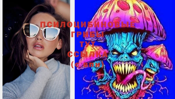 скорость Туринск
