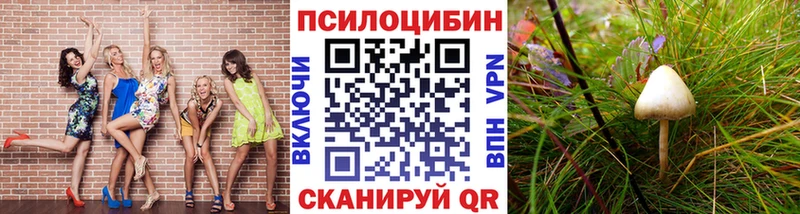 Галлюциногенные грибы мухоморы  купить наркотики цена  Шацк 