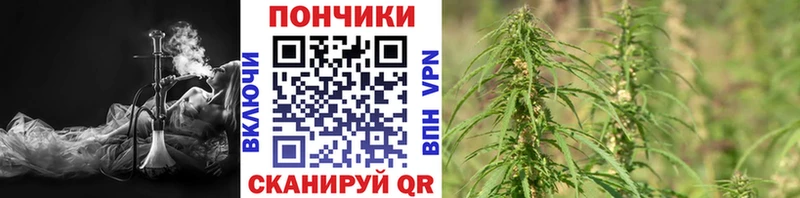 Канабис Bruce Banner  Шацк 